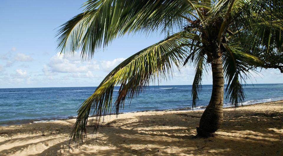 Développement Commercial - Agence de Voyage en Guadeloupe